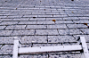 Proced renovtoit